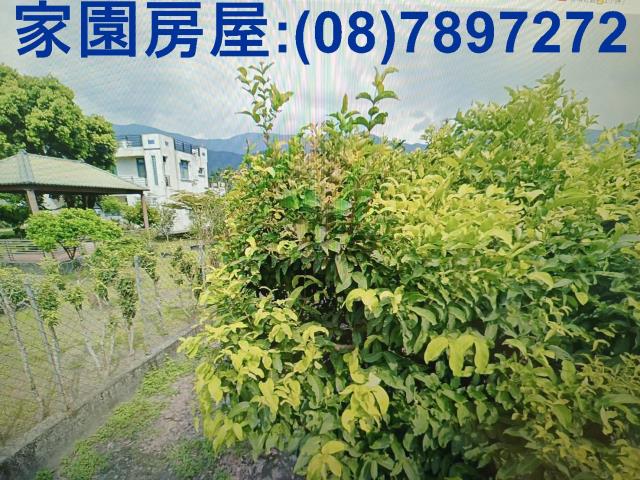 屏東高樹農地-0