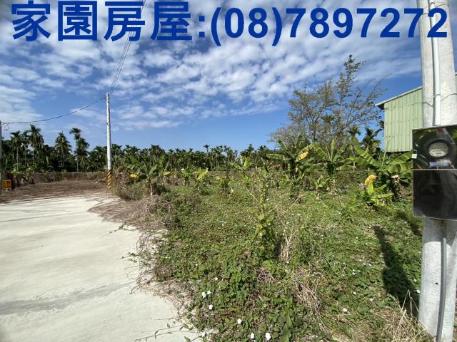 屏東農地-0