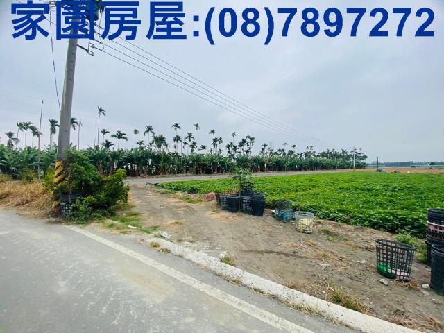 屏東新園農地-2