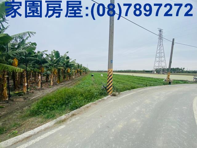 屏東新園農地-3