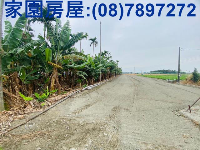 屏東新園農地-6