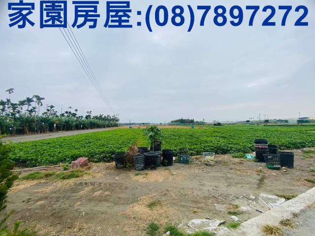 屏東新園農地-9