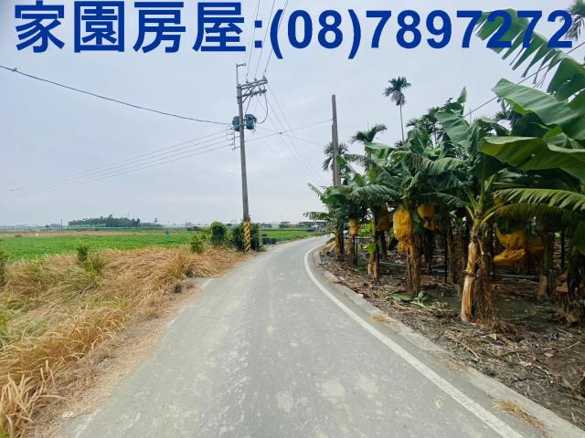 屏東新園農地-7