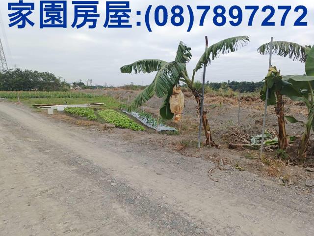 屏東潮州農地-1