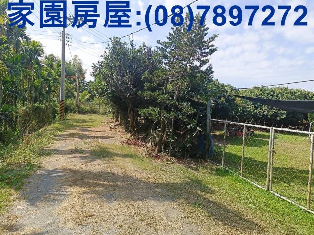 屏東南州農地-0