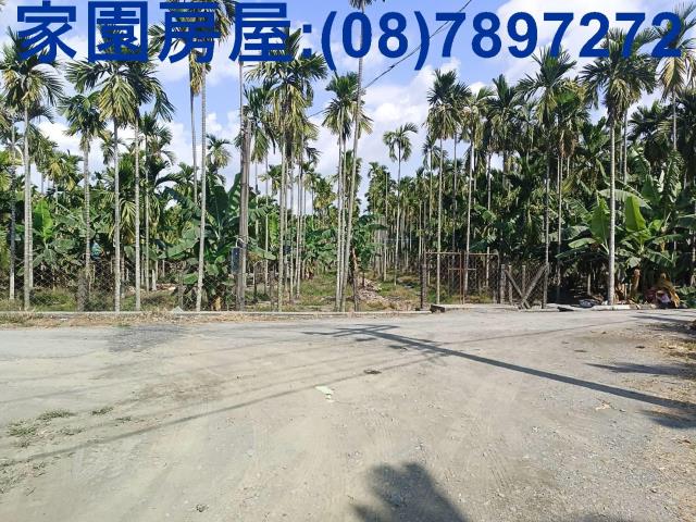 屏東南州農地-1