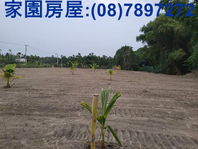 屏東南州農地-3