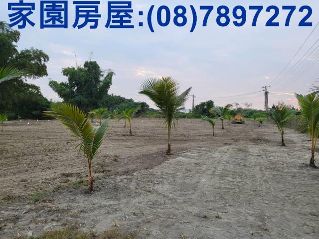 屏東南州農地-4