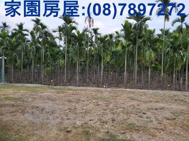 屏東南州農地-5