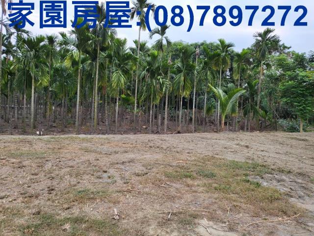 屏東南州農地-6