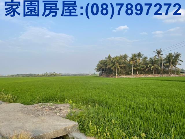 屏東南州農地-0