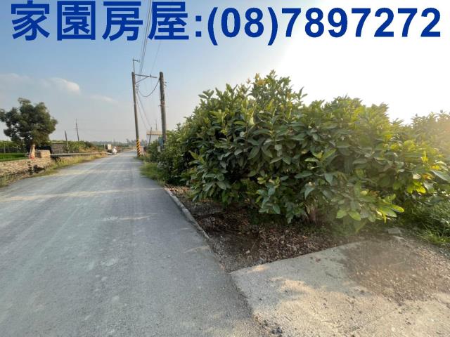 屏東南州農地-0