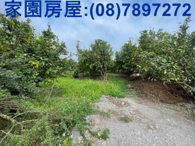 屏東南州農地-1