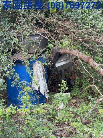 屏東南州農地-2