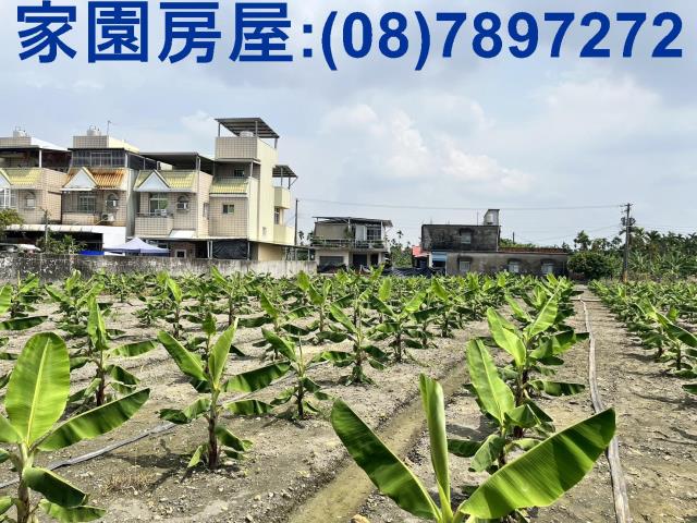 屏東農地-1