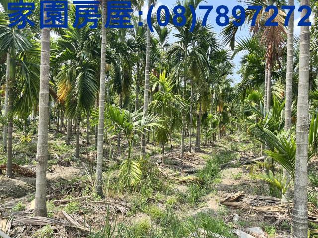 屏東農地-2