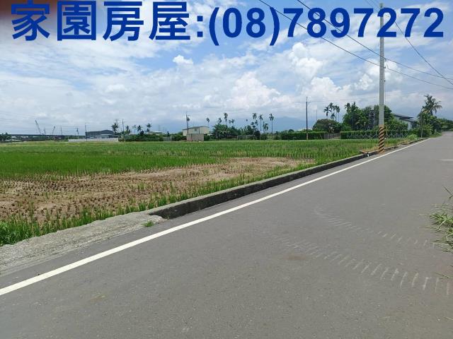 竹田農地-0