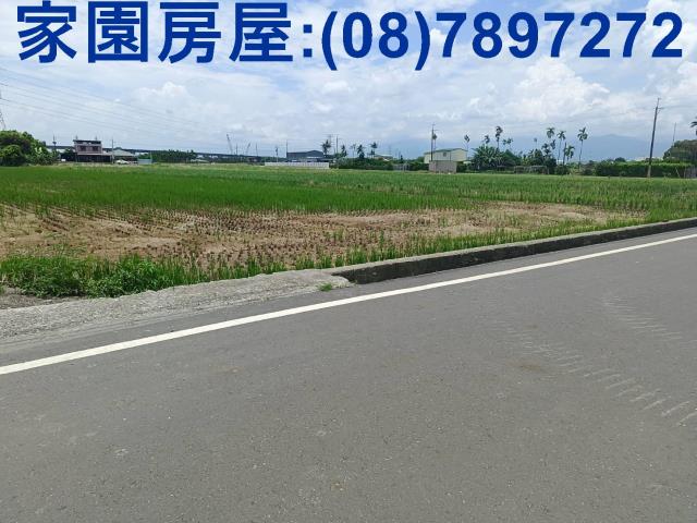 竹田農地-2