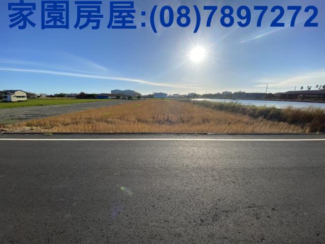 新園農地-1