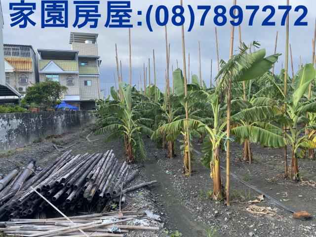 屏東潮州農地-1