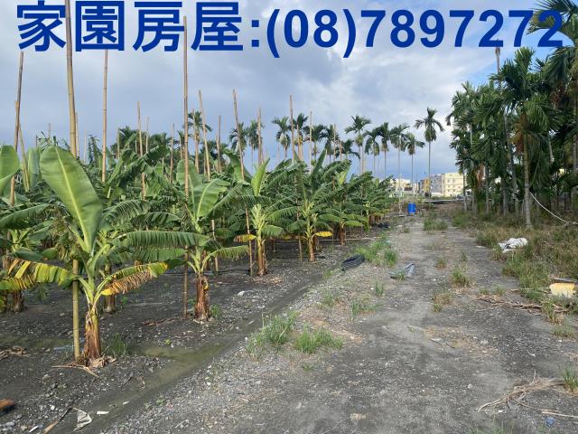 屏東潮州農地-2