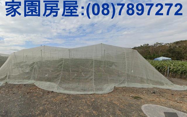 屏東新埤農地-3