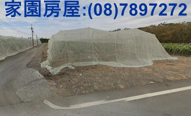 屏東新埤農地-4