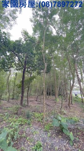 長治農地-4