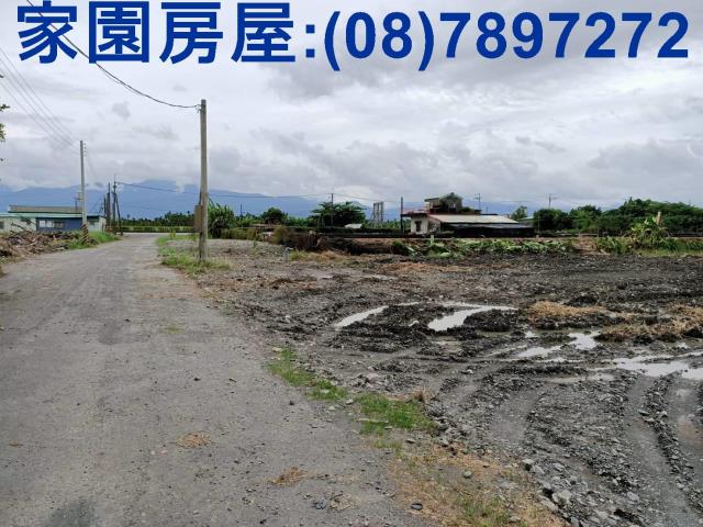 新埤農地-1