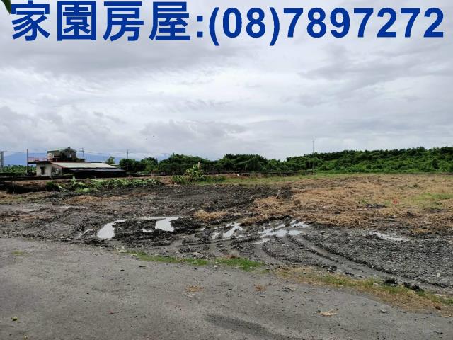新埤農地-2