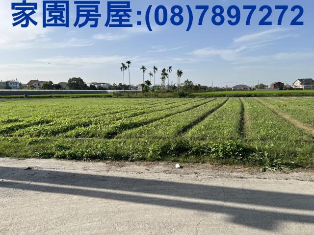 屏東萬丹農地-4