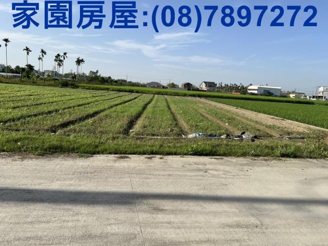 屏東萬丹農地-5