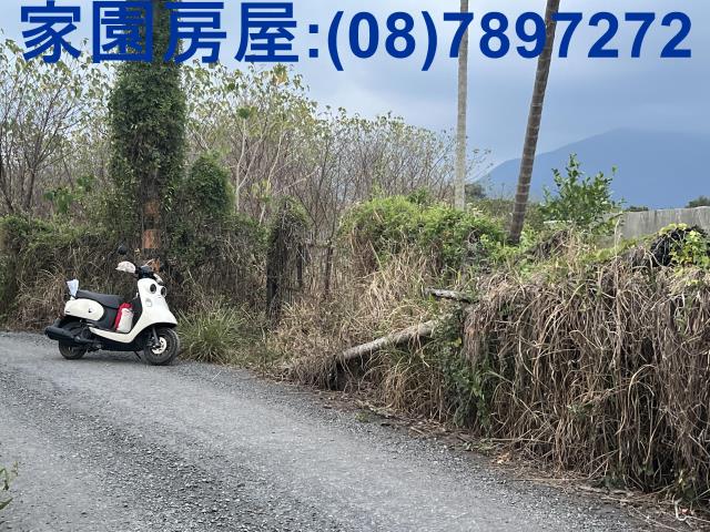 屏東新埤農地-1