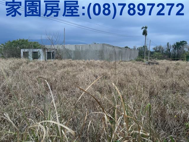 屏東新埤農地-3