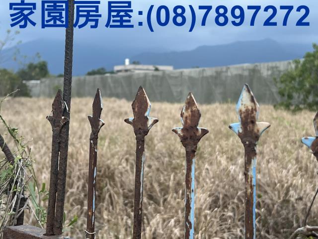 屏東新埤農地-4