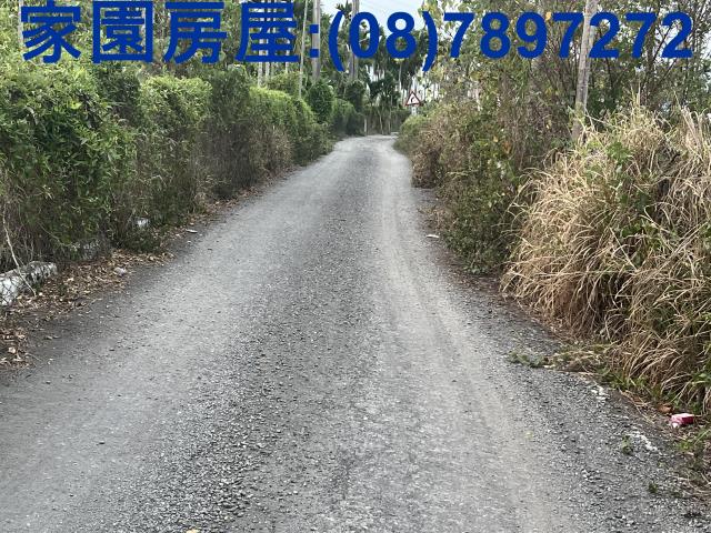 屏東新埤農地-6