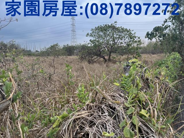 屏東新埤農地-8