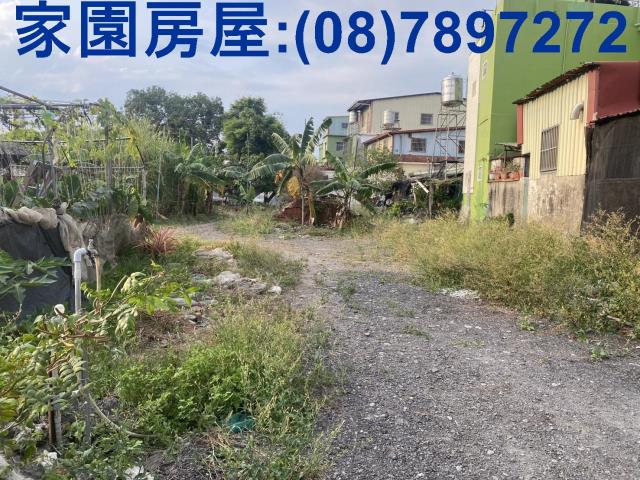 新埤農地-3