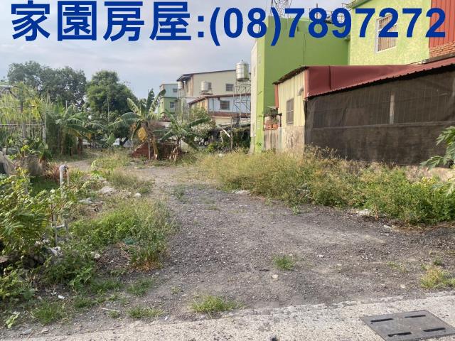 新埤農地-5