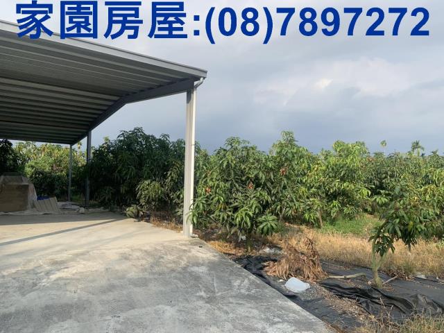 屏東農地-1