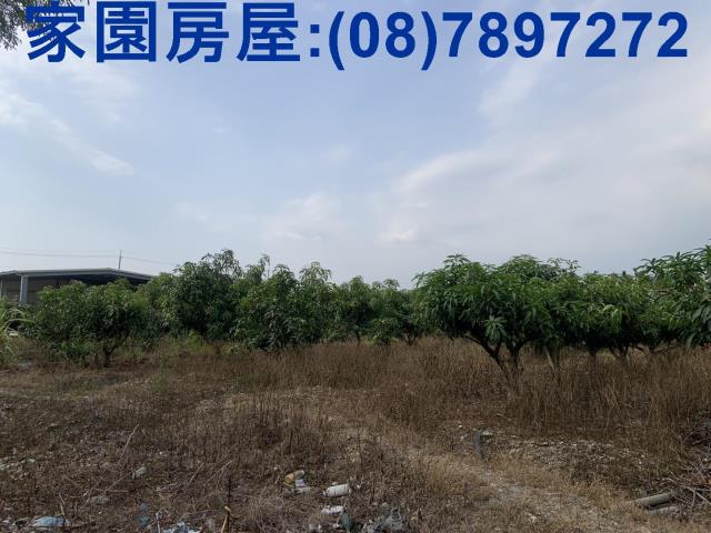 屏東農地-7