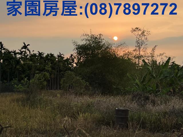 潮州農地-3