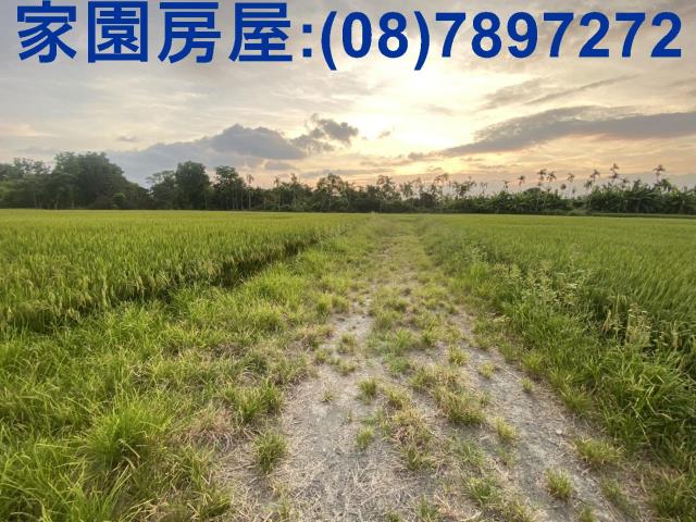 屏東農地-2