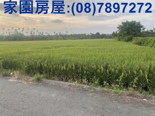 屏東農地-3