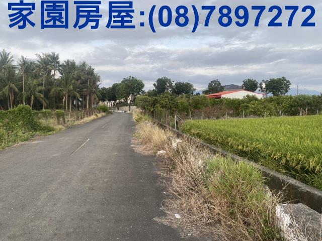 屏東農地-4