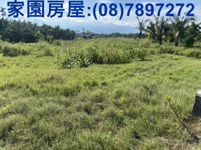 屏東潮州農地-3