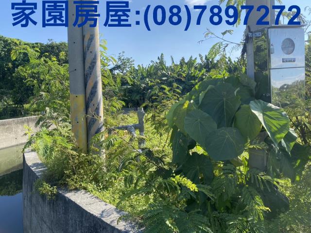 屏東潮州農地-4