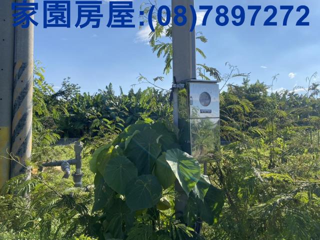 屏東潮州農地-5
