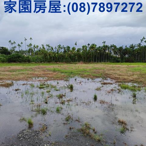 新埤農地-1