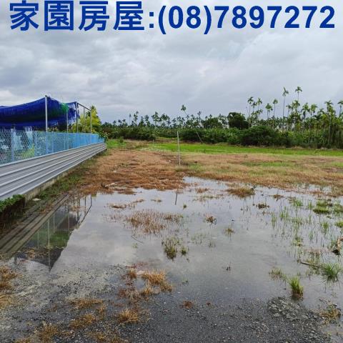 新埤農地-2